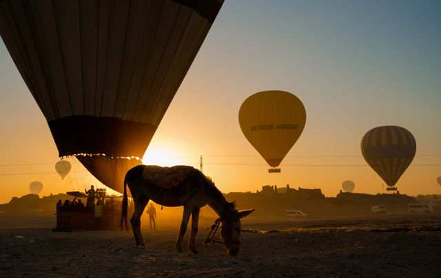 Luxor Hot Air Balloon