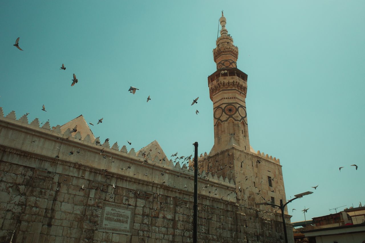 City Of Cairo Tour