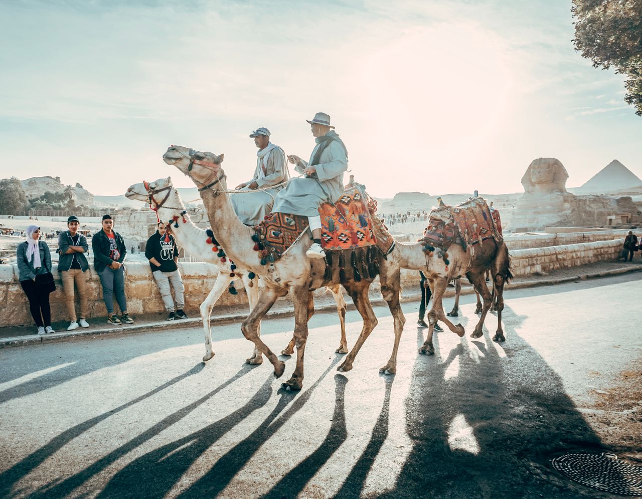 City Of Cairo Tour