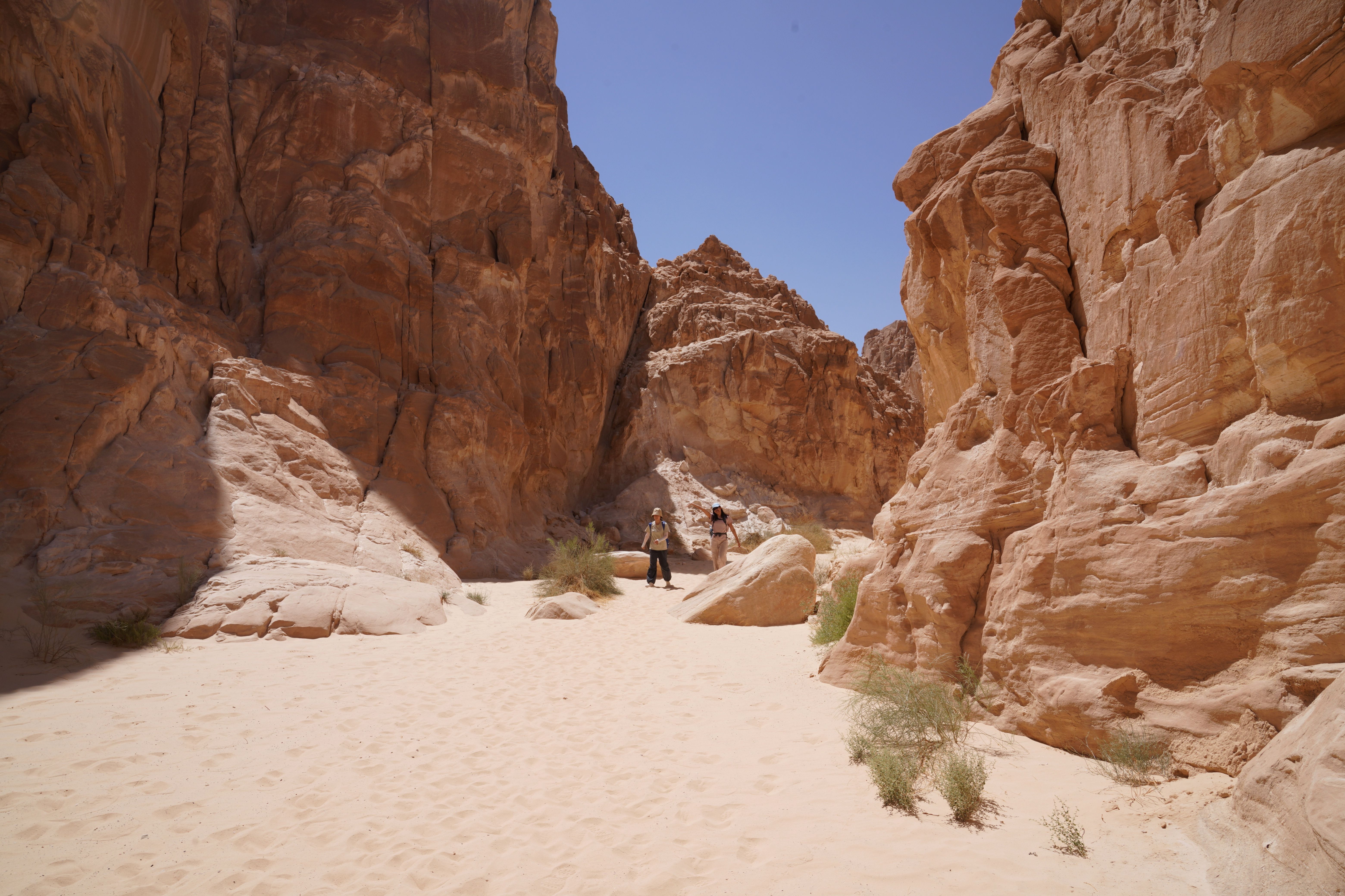 2-Day Sinai Desert Adventure