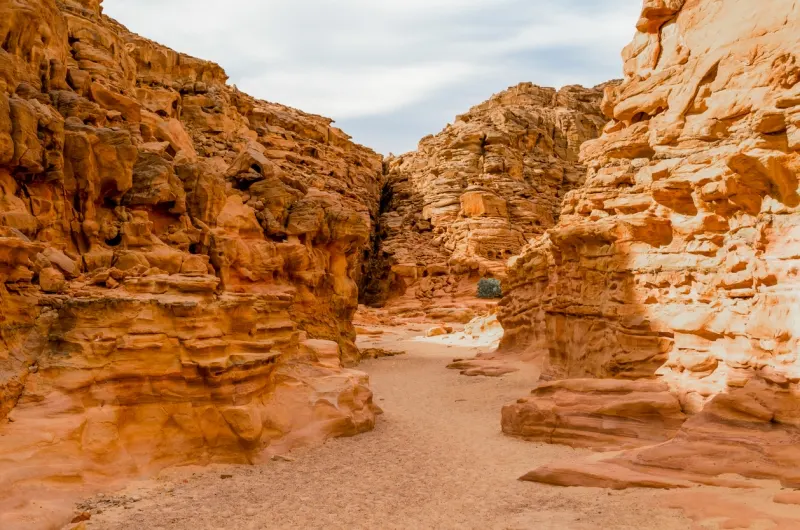 2-Day Sinai Desert Adventure - Photo 4