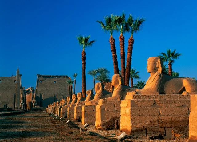 Tour of the East Bank in Luxor