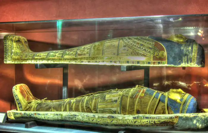 Day Tour to the Pyramids of Giza and Egyptian Museum